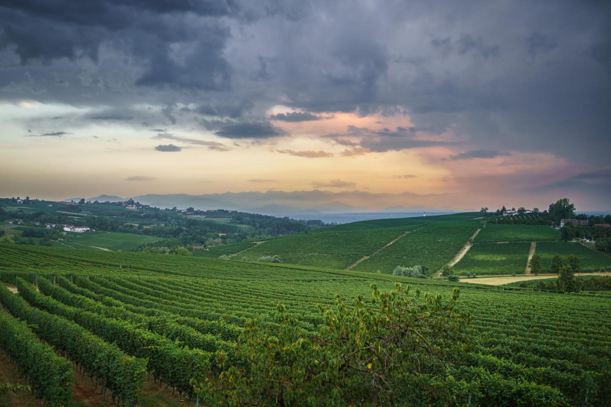 Vineho Appartement Barolo Buitenkant foto