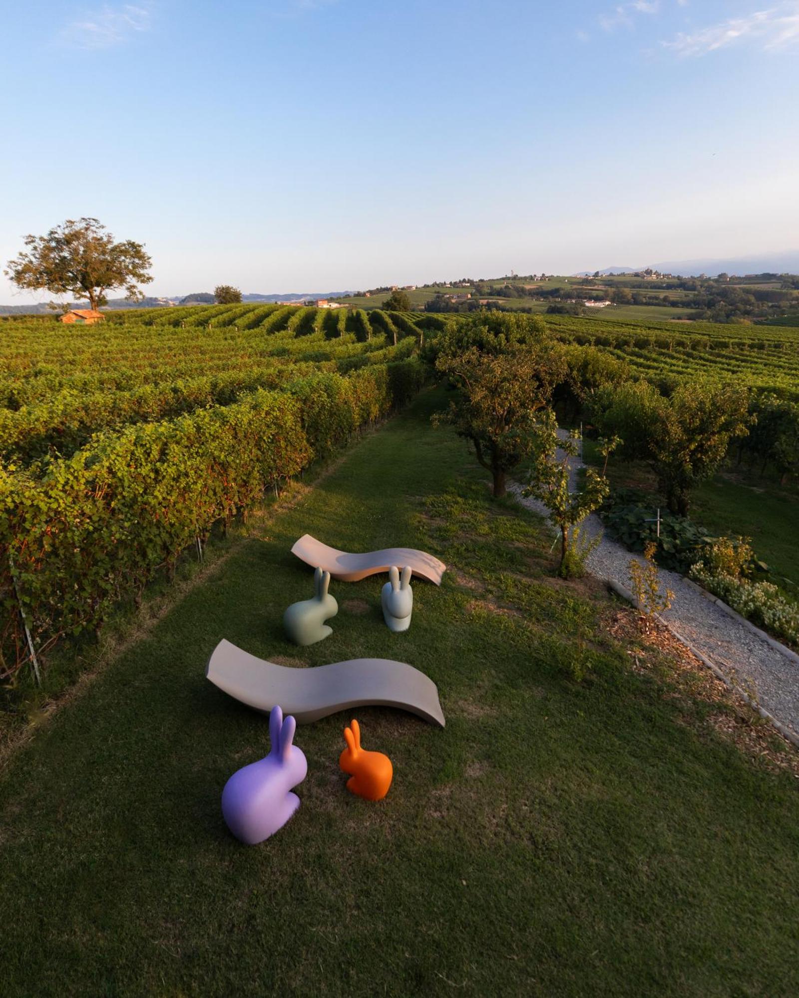 Vineho Appartement Barolo Buitenkant foto